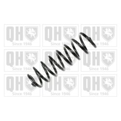 Suspension Spring QUINTON HAZELL QCS6564 OE Ref 8200297952