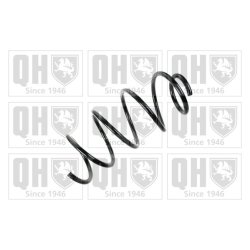 Suspension Spring QUINTON HAZELL QCS6567 OE Ref 31336767370