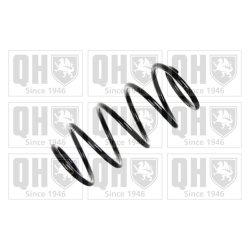 Suspension Spring QUINTON HAZELL QCS6578 OE Ref 09118353