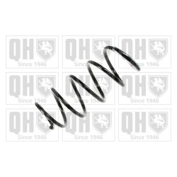 Suspension Spring QUINTON HAZELL QCS6594 OE Ref 312162 QUINTON HAZELL