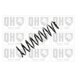 Suspension Spring QUINTON HAZELL QCS6603 OE Ref 6K0511115M952