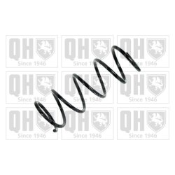 Suspension Spring QUINTON HAZELL QCS6607 OE Ref 4111186G50000