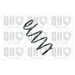 Suspension Spring QUINTON HAZELL QCS6618 OE Ref 32016016