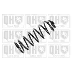 Suspension Spring QUINTON HAZELL QCS6624 OE Ref 35463355 QUINTON HAZELL