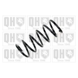 Suspension Spring QUINTON HAZELL QCS6626 OE Ref 51793551