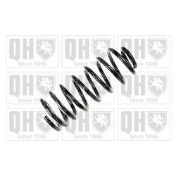 Suspension Spring QUINTON HAZELL QCS6630 OE Ref 46538584