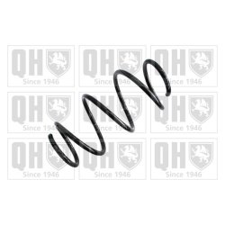 Suspension Spring QUINTON HAZELL QCS6633 OE Ref 31336851716