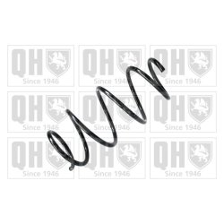 Suspension Spring QUINTON HAZELL QCS6638 OE Ref 4813102L50