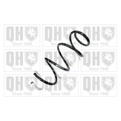 Suspension Spring QUINTON HAZELL QCS6655 OE Ref 540103219R