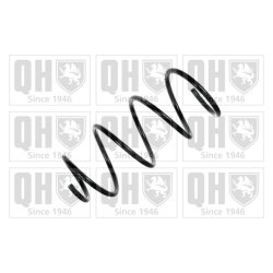Suspension Spring QUINTON HAZELL QCS6659 OE Ref 60662479