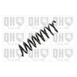 Suspension Spring QUINTON HAZELL QCS6663 OE Ref 2103213004 QUINTON HAZELL