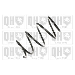 Suspension Spring QUINTON HAZELL QCS6665 OE Ref 31331093072
