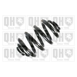 Suspension Spring QUINTON HAZELL QCS6689 OE Ref 701511105B
