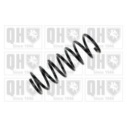 Suspension Spring QUINTON HAZELL QCS6692 OE Ref N05834011A QUINTON HAZELL