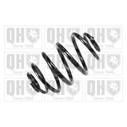 Suspension Spring QUINTON HAZELL QCS6699 OE Ref 90010394