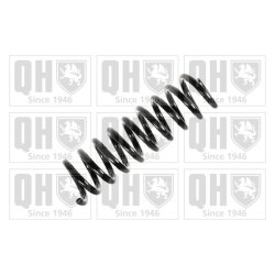Suspension Spring QUINTON HAZELL QCS6720 OE Ref 2023242104 QUINTON HAZELL
