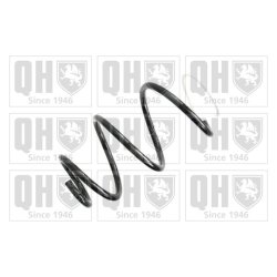 Suspension Spring QUINTON HAZELL QCS6730 OE Ref 540107678R