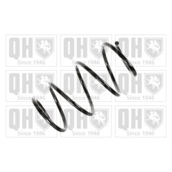 Suspension Spring QUINTON HAZELL QCS6738 OE Ref 31331094733