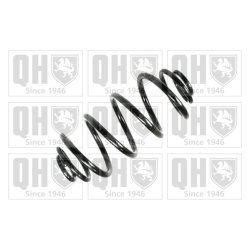 Suspension Spring QUINTON HAZELL QCS6776 OE Ref 93185774