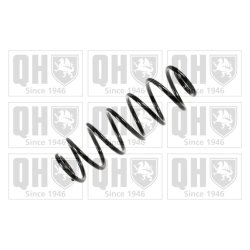 Suspension Spring QUINTON HAZELL QCS6787 OE Ref 50702704