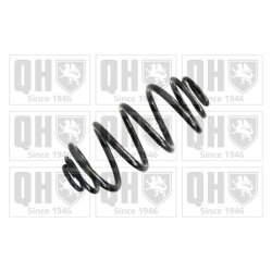 Suspension Spring QUINTON HAZELL QCS6802 OE Ref 13287599