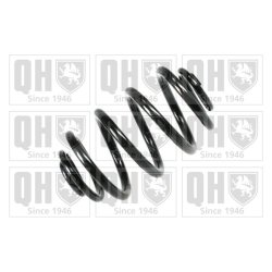 Suspension Spring QUINTON HAZELL QCS6822 OE Ref 8200844174