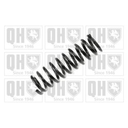 Suspension Spring QUINTON HAZELL QCS6833 OE Ref 2013242504