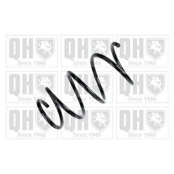 Suspension Spring QUINTON HAZELL QCS6835 OE Ref 4813113160 QUINTON HAZELL