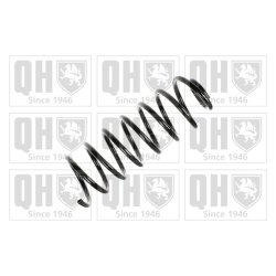 Suspension Spring QUINTON HAZELL QCS6842 QUINTON HAZELL
