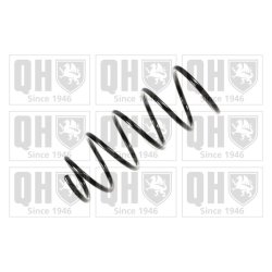 Suspension Spring QUINTON HAZELL QCS6846 OE Ref 6N0411105N