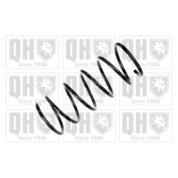 Suspension Spring QUINTON HAZELL QCS6848 OE Ref 1238330