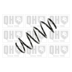 Suspension Spring QUINTON HAZELL QCS6851 OE Ref 312158