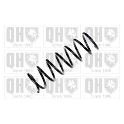 Suspension Spring QUINTON HAZELL QCS6852 OE Ref BCF128011D