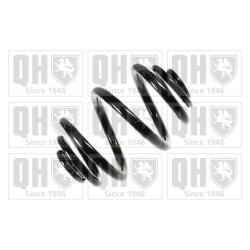 Suspension Spring QUINTON HAZELL QCS6870 OE Ref 8200041470