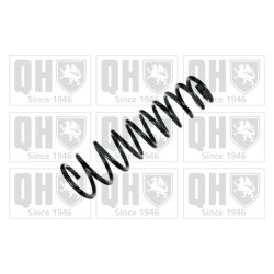 Suspension Spring QUINTON HAZELL QCS6872 OE Ref 60625039