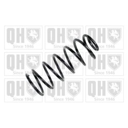 Suspension Spring QUINTON HAZELL QCS6877 OE Ref 553301C210 QUINTON HAZELL