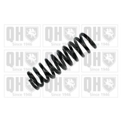Suspension Spring QUINTON HAZELL QCS6878 OE Ref 2013213804