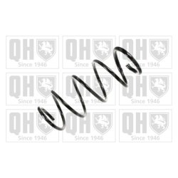 Suspension Spring QUINTON HAZELL QCS6887 OE Ref 8200040080 QUINTON HAZELL