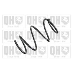 Suspension Spring QUINTON HAZELL QCS6892 OE Ref 31336770349