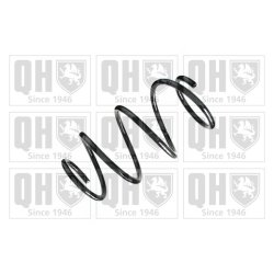 Suspension Spring QUINTON HAZELL QCS6898 OE Ref 1713210904 QUINTON HAZELL