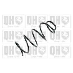Suspension Spring QUINTON HAZELL QCS6905 OE Ref 31336767369