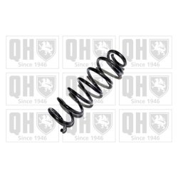 Suspension Spring QUINTON HAZELL QCS6910 OE Ref 550200011R