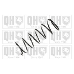 Suspension Spring QUINTON HAZELL QCS6916 OE Ref 500233