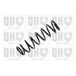 Suspension Spring QUINTON HAZELL QCS6921 OE Ref 4111180G10