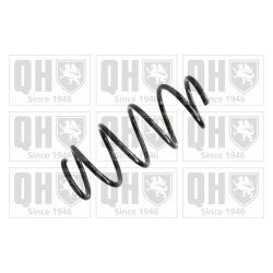 Suspension Spring QUINTON HAZELL QCS6934 OE Ref 6Q0411105Q