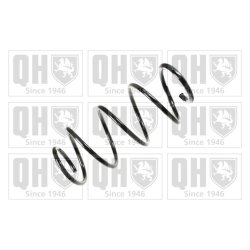 Suspension Spring QUINTON HAZELL QCS6936 OE Ref 30884192