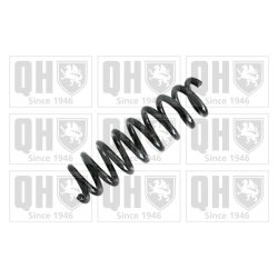 Suspension Spring QUINTON HAZELL QCS6941 OE Ref 33536771355