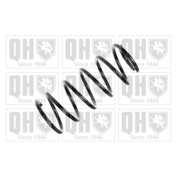 Suspension Spring QUINTON HAZELL QCS6942 OE Ref 312038 QUINTON HAZELL