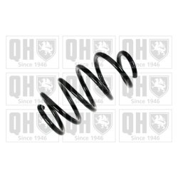 Suspension Spring QUINTON HAZELL QCS6967 OE Ref 6001550901
