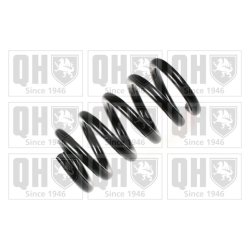 Suspension Spring QUINTON HAZELL QCS6969 OE Ref 1056882
